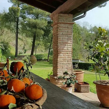 House In Park * Montopoli in Val dʼArno